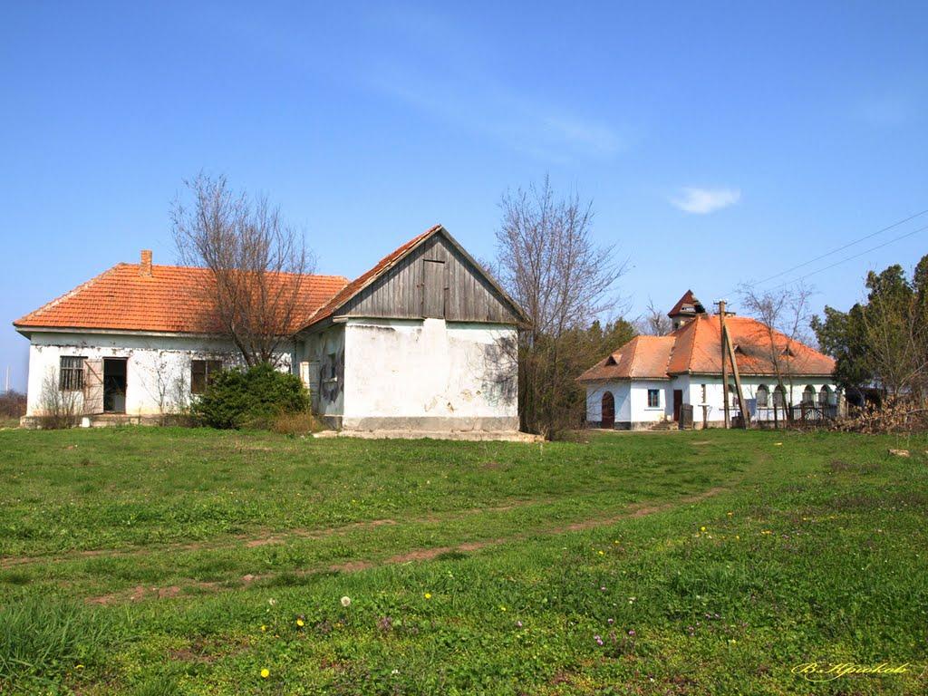 Бритівка з panoramio.com - Бритівка