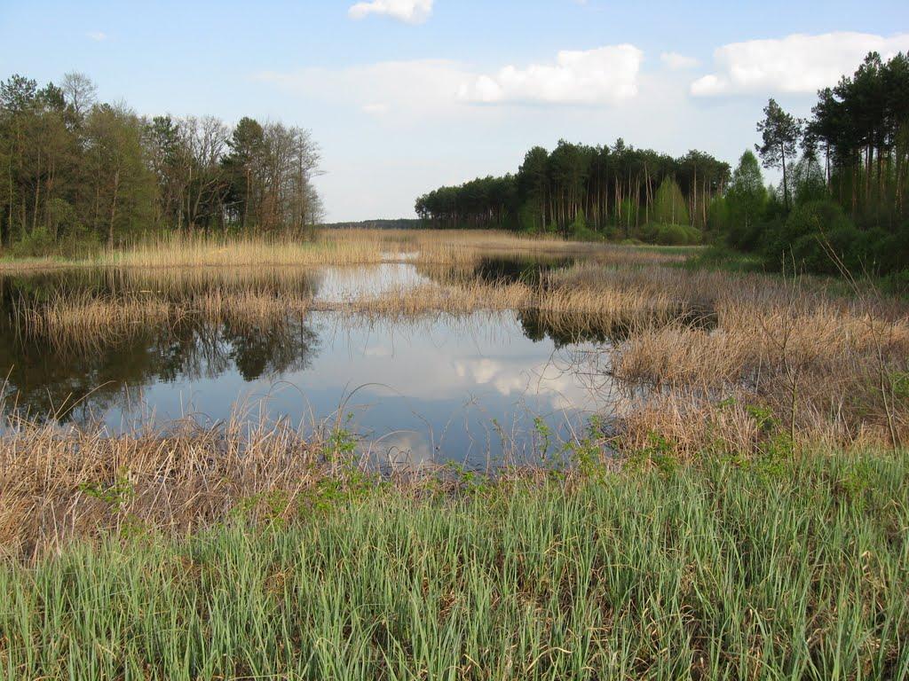 Баранне з panoramio.com - Баранне