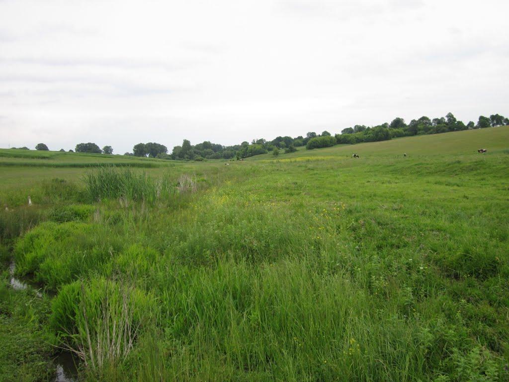 Половинники з panoramio.com - Половинники