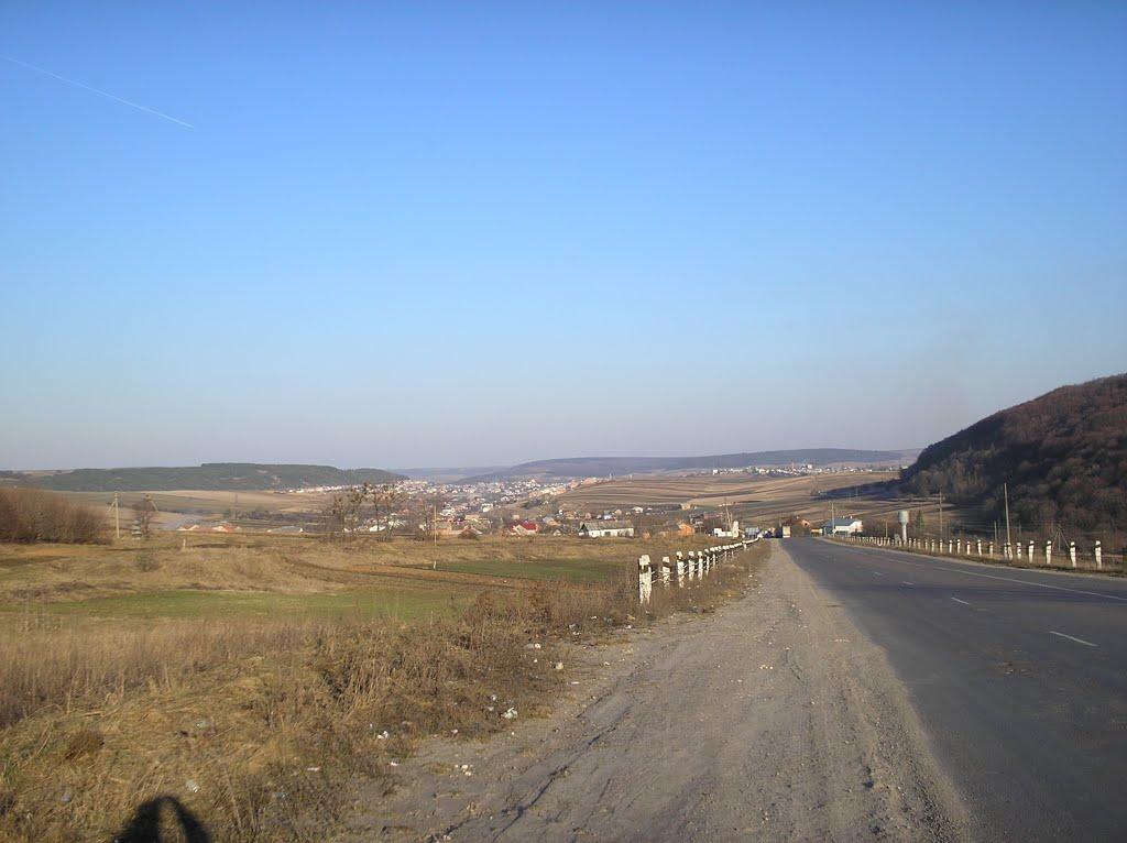 Лісники з panoramio.com - Lisnyky