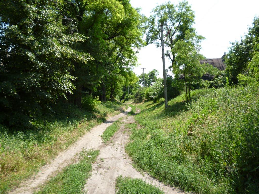 Дніпровокам'янка з panoramio.com - Дніпровокам'янка