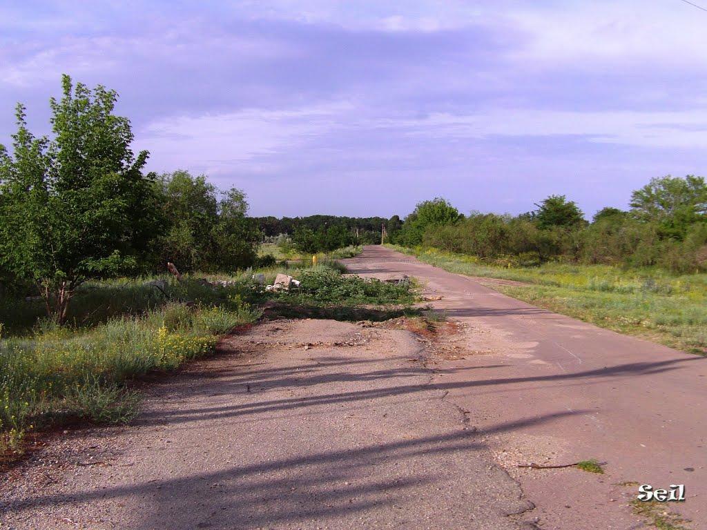 Покровське з panoramio.com - Покровське