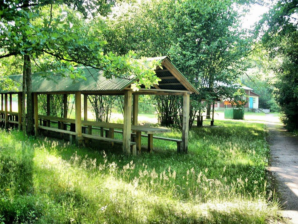 Струмок з panoramio.com - Струмок