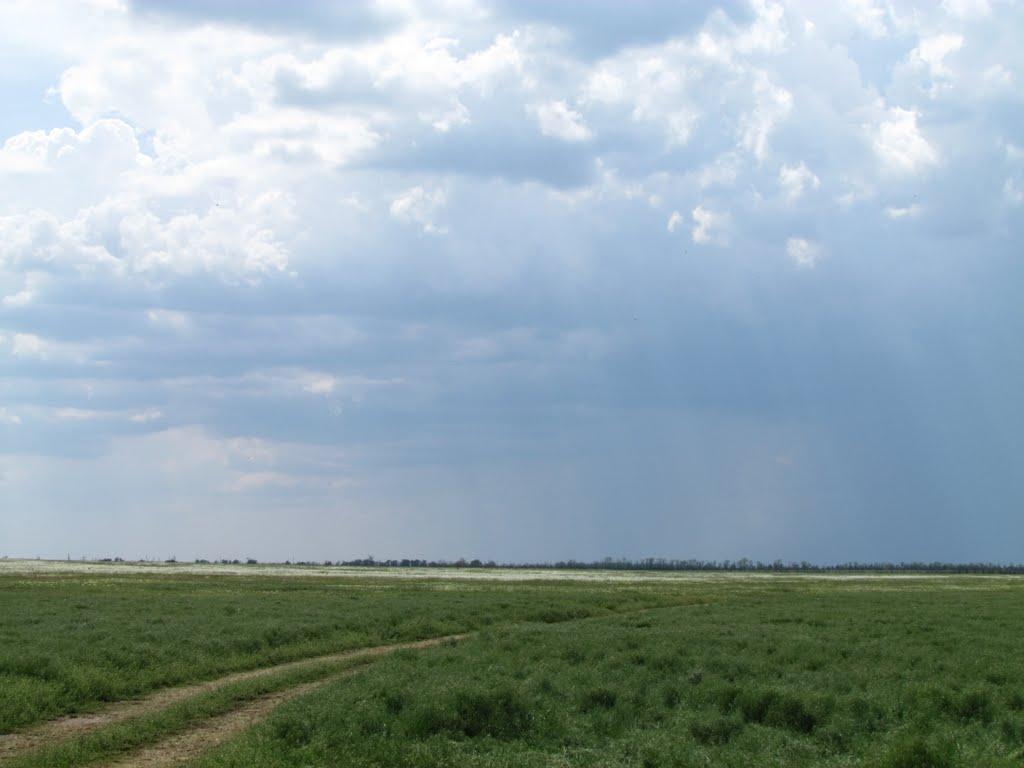 Асканія-Нова з panoramio.com - Askaniya-Nova