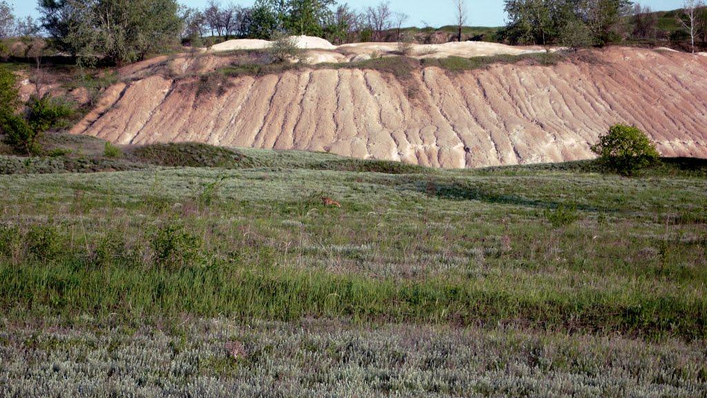 Дронівка з panoramio.com - Дронівка