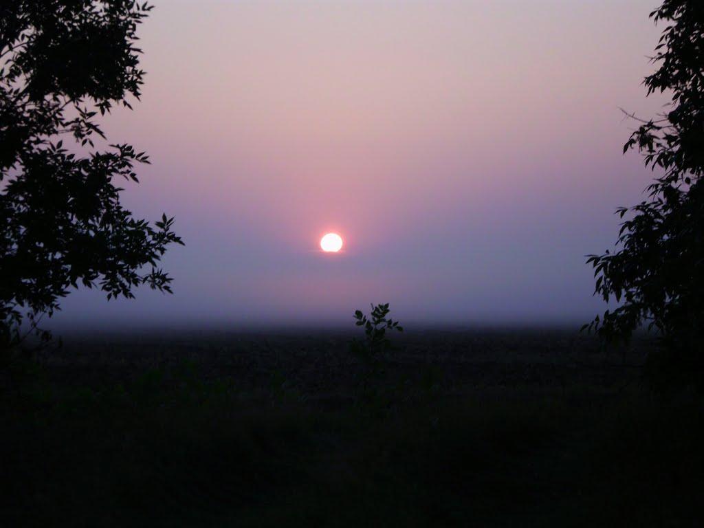 Жовтневе з panoramio.com - Жовтневое