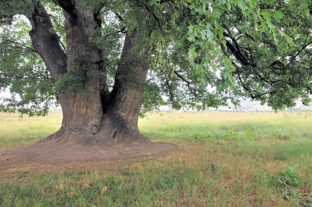 Білогірськ з panoramio.com - Білогірськ