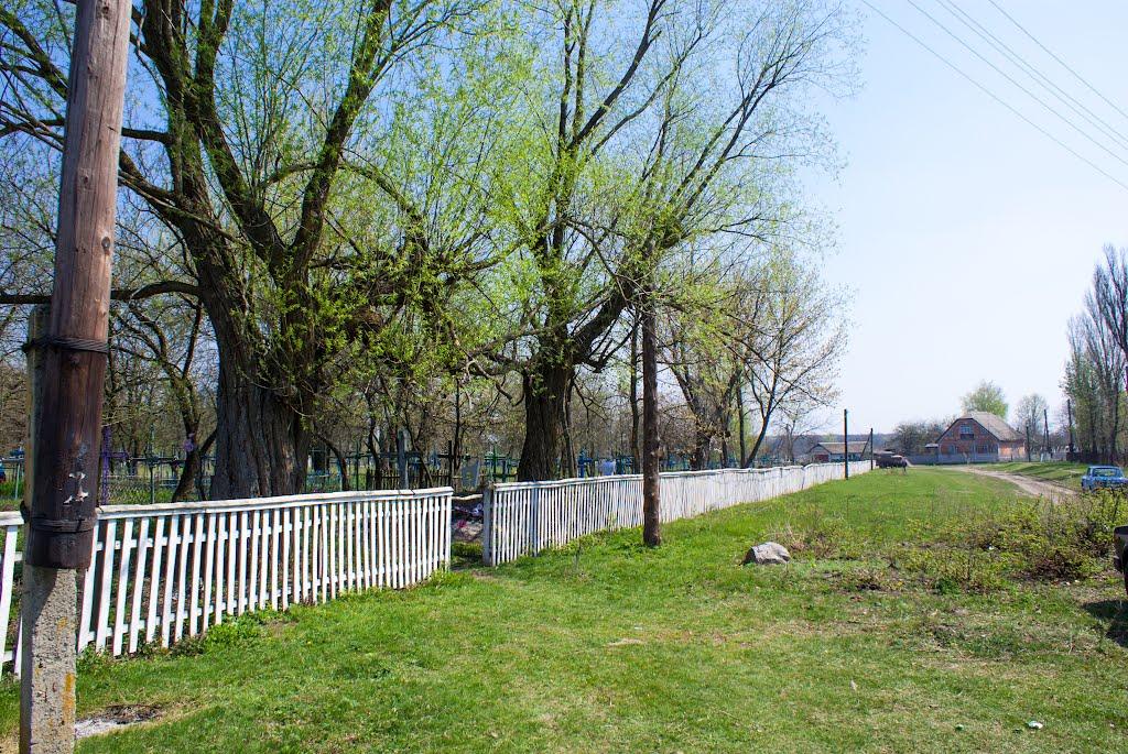 Харківці з panoramio.com - Харківці