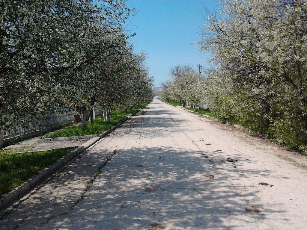 Багате з panoramio.com - Багате