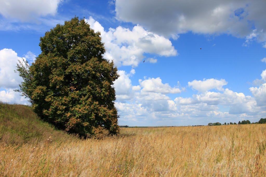 Грубське з panoramio.com