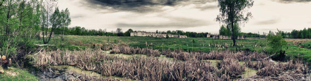 Полянка з panoramio.com - Полянка