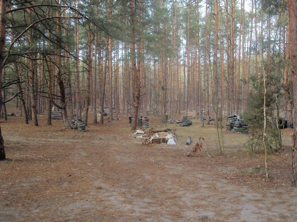 Гостомель з panoramio.com - Гостомель
