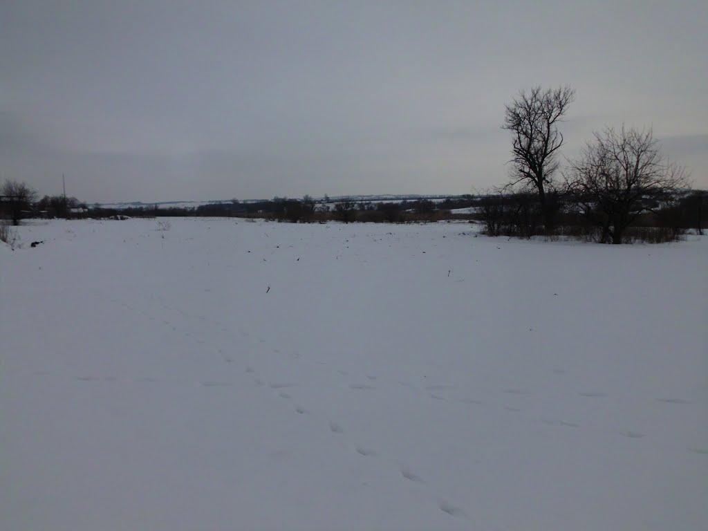 Жовтневе з panoramio.com - Жовтневое