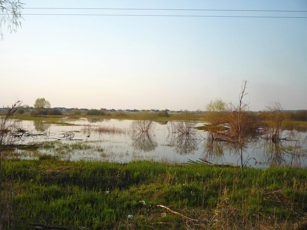 Вишеньки з panoramio.com - Вишенки