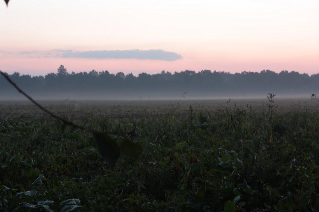 Волосівка з panoramio.com - Волосівка