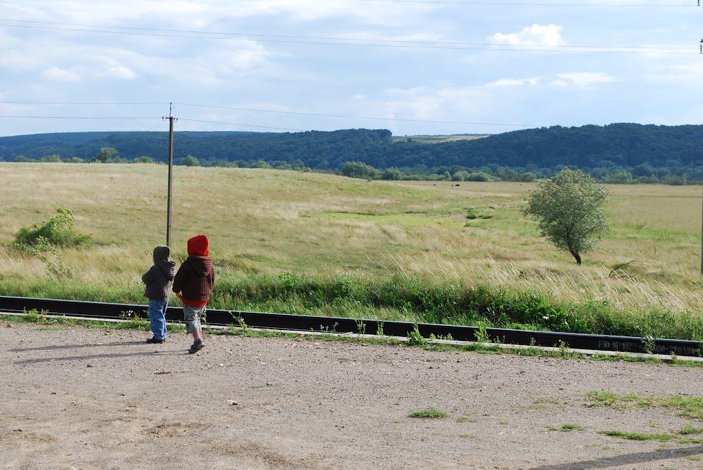 Тустань з panoramio.com - Тустань