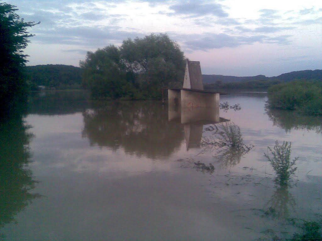 Нижнів з panoramio.com - Нижнев