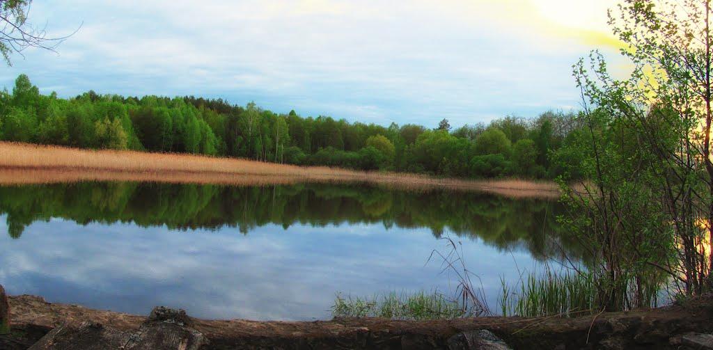 Полянка з panoramio.com - Полянка