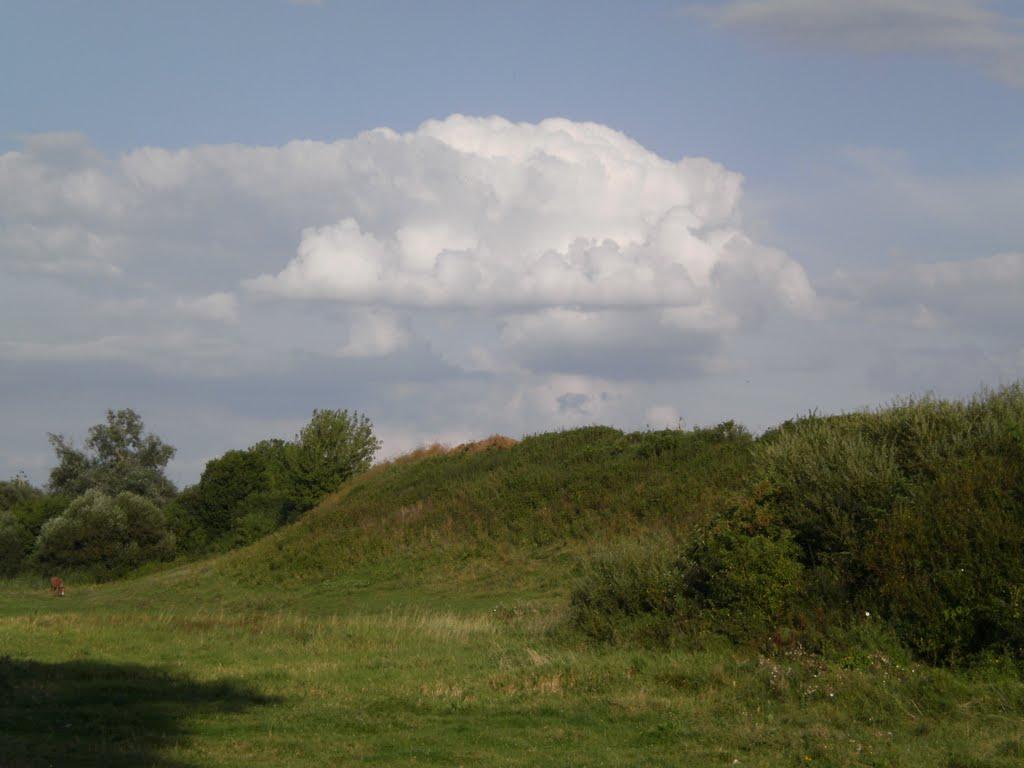 Жидичин з panoramio.com - Жидичин