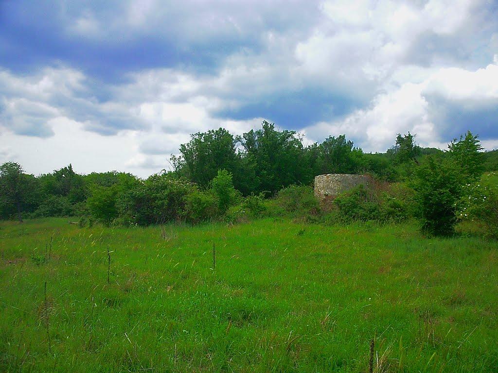 Щасливе з panoramio.com - Schaslyve