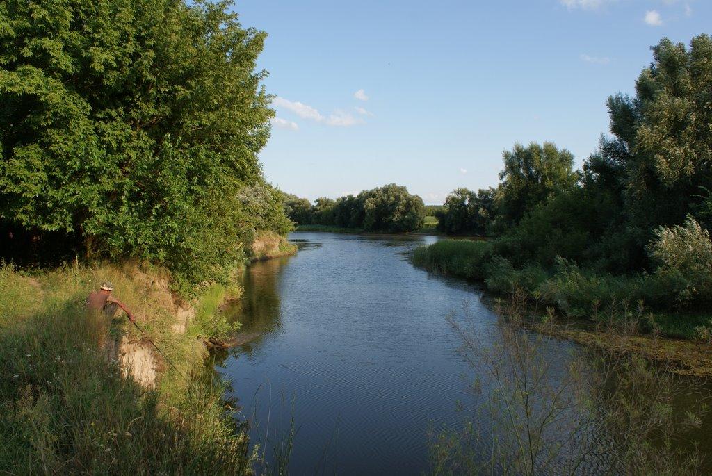 Чемерпіль з panoramio.com - Chemerpil