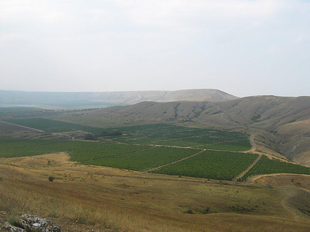 Підгірне з panoramio.com - Підгірне