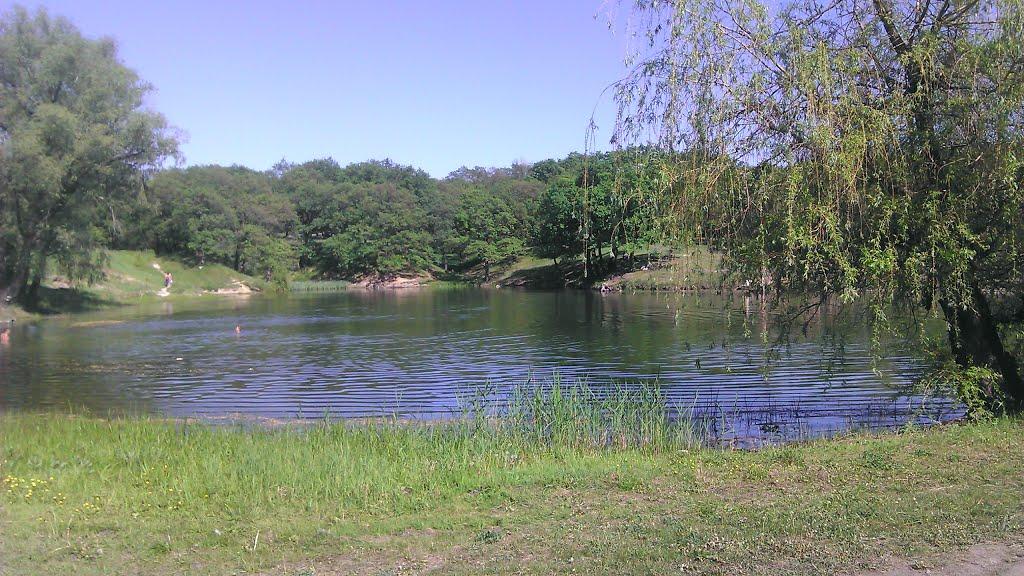 Золоте з panoramio.com - Золотое