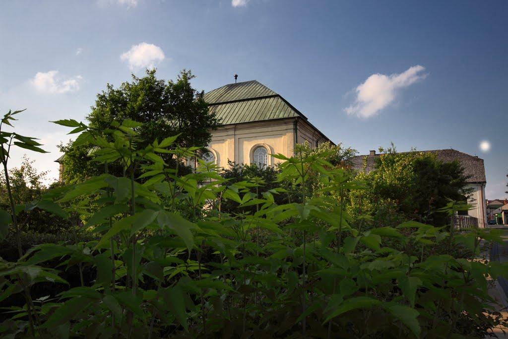 Перешпа з panoramio.com - Перешпа