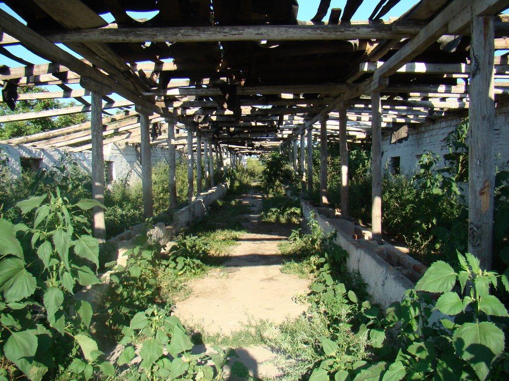 Демівщина з panoramio.com - Демівщина