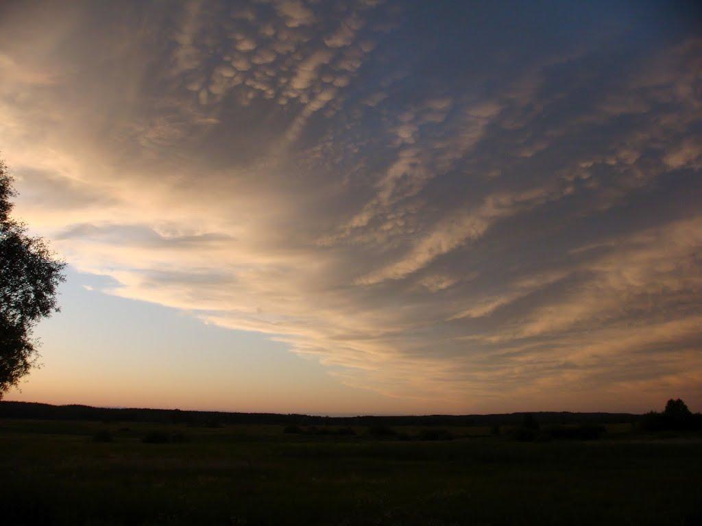 Вільшанка з panoramio.com - Vilshanka