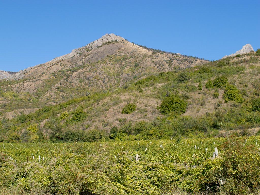 Зеленогір'я з panoramio.com - Зеленогорье