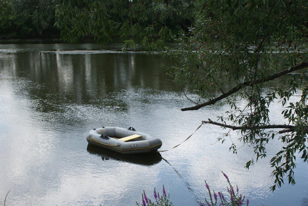 Чемерпіль з panoramio.com - Chemerpil