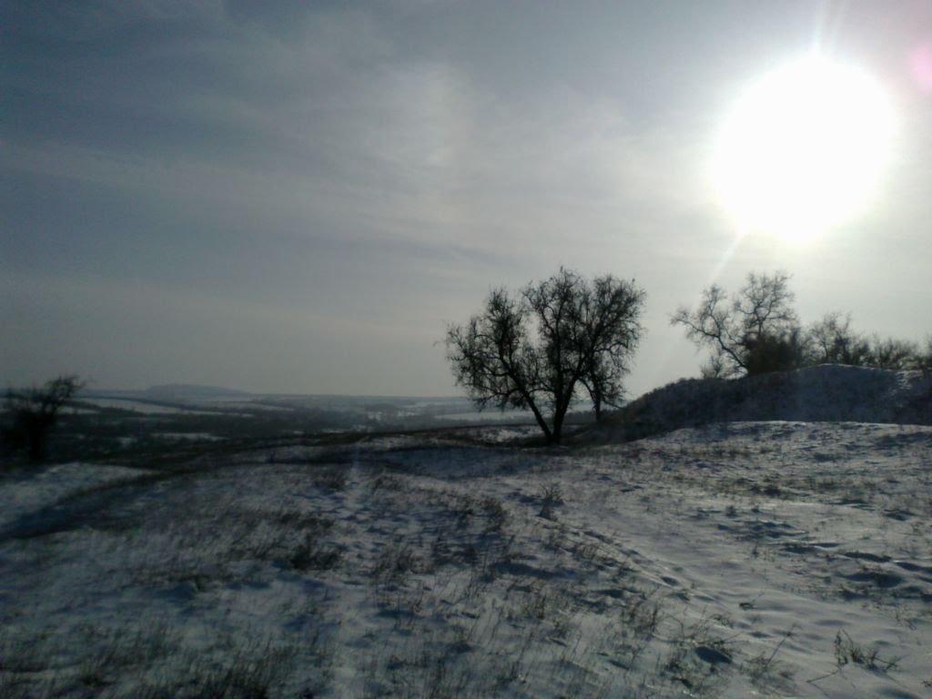 Зайцеве з panoramio.com - Зайцеве
