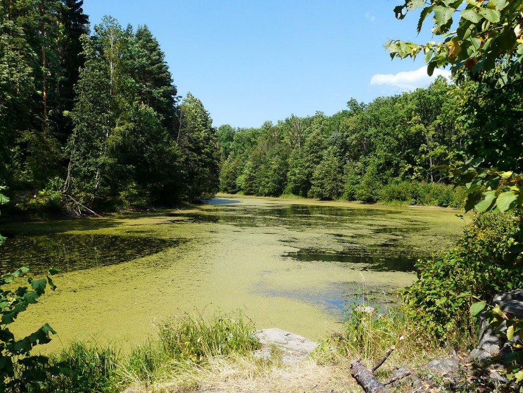 Березина з panoramio.com - Березина