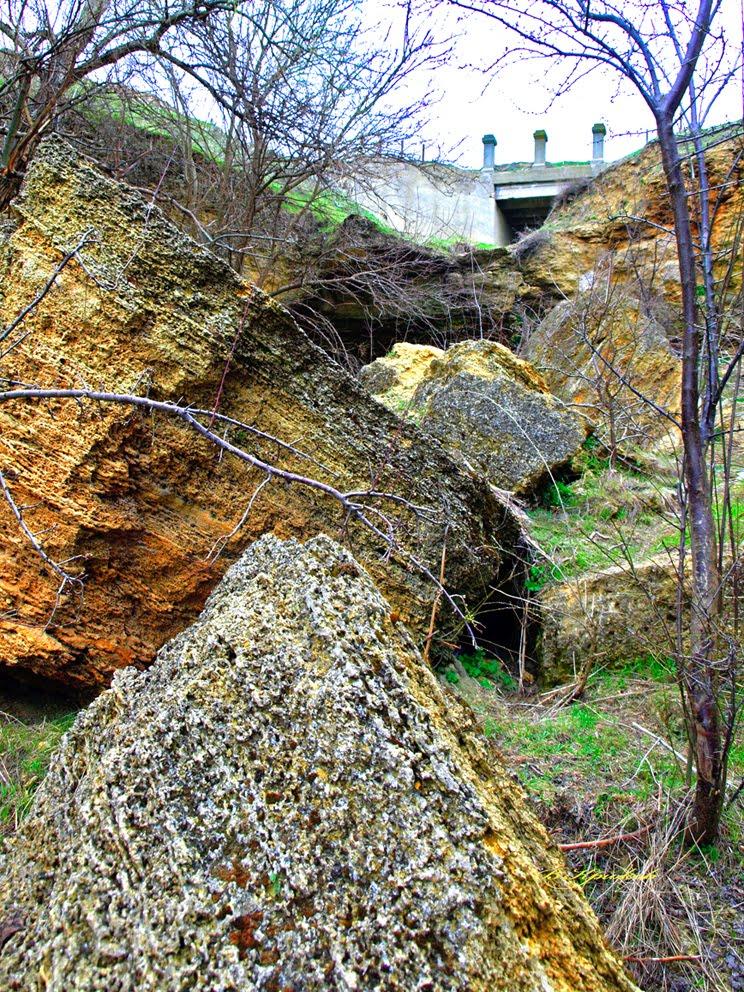 Миколаївка з panoramio.com - Миколаївка