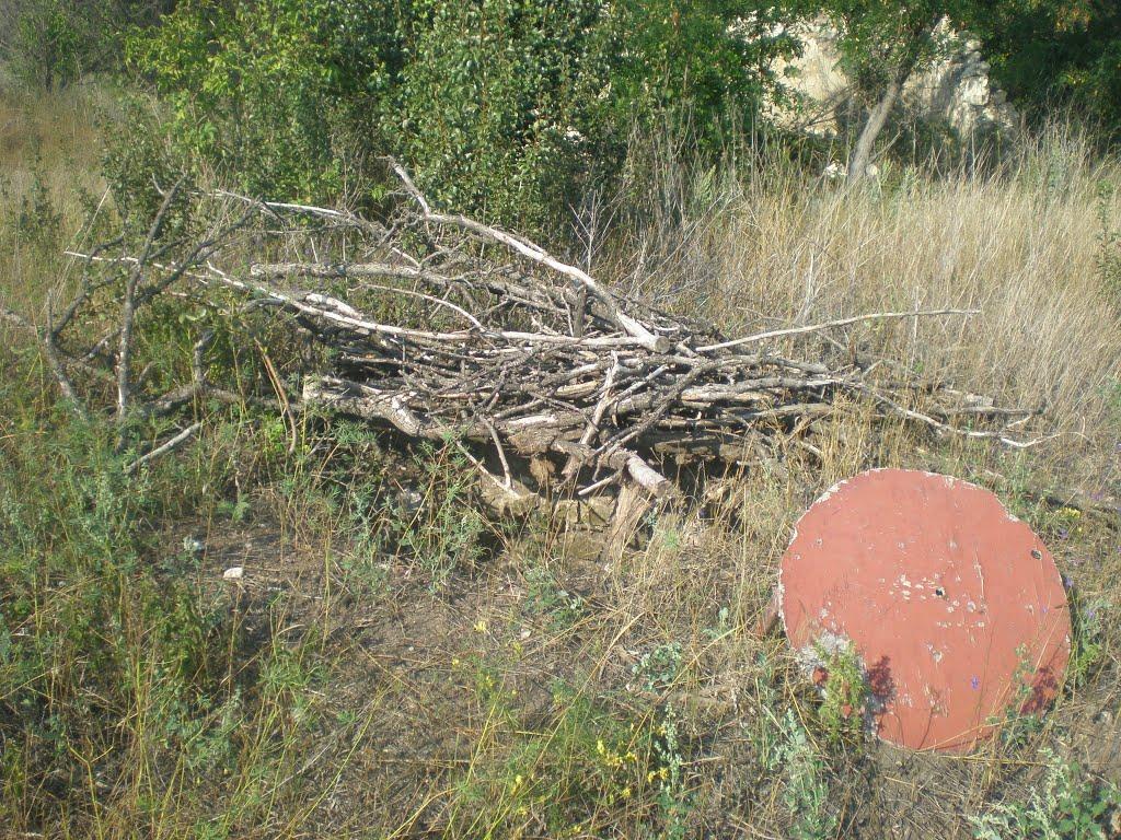 Пантеліївка з panoramio.com - Пантелеевка