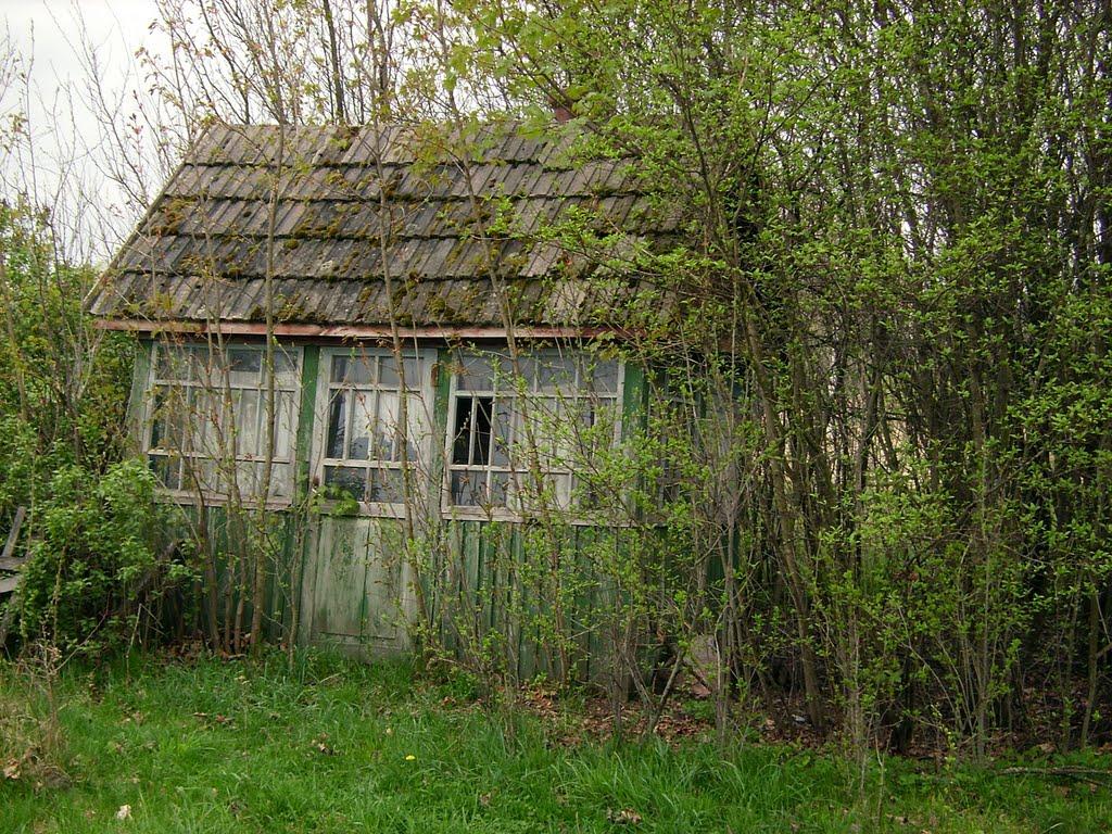 Полянка з panoramio.com - Полянка