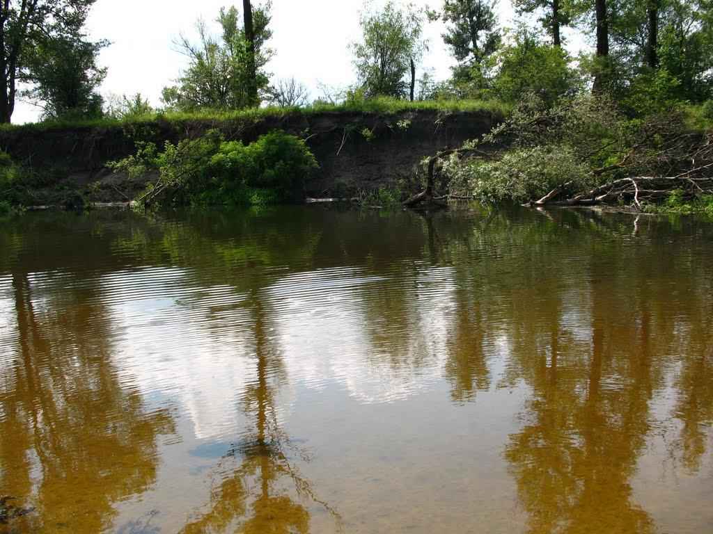 Глоди з panoramio.com - Глоды