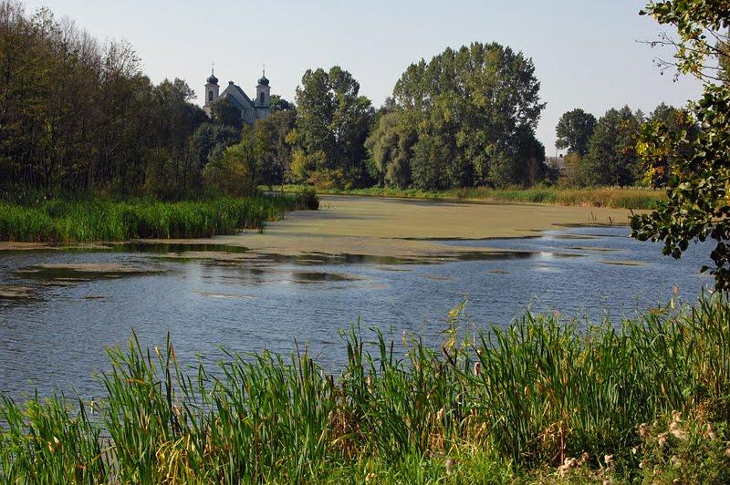 Перешпа з panoramio.com - Перешпа