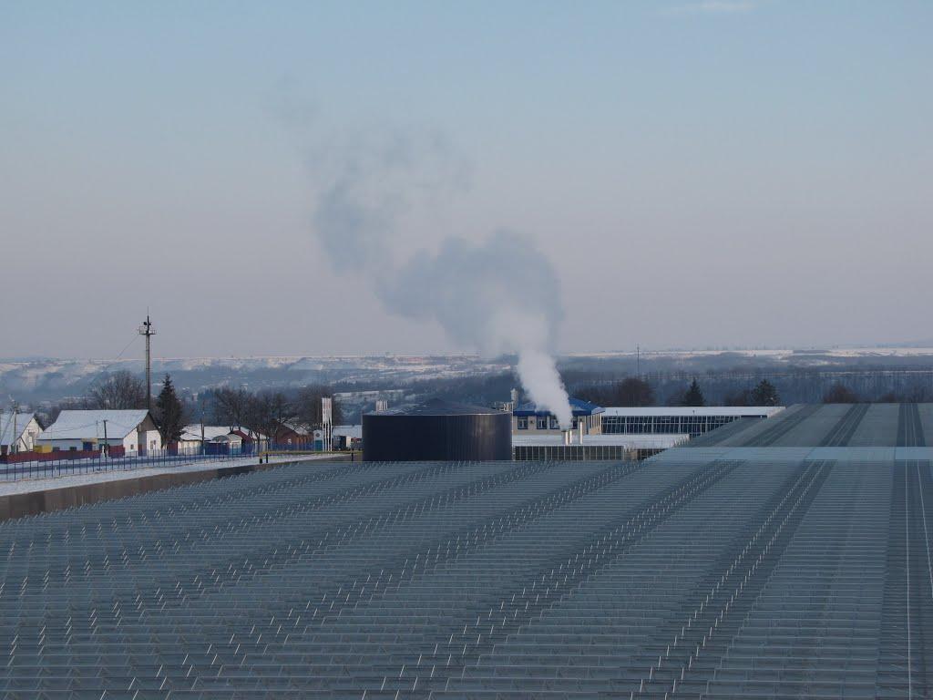 Синьків з panoramio.com - Синьків