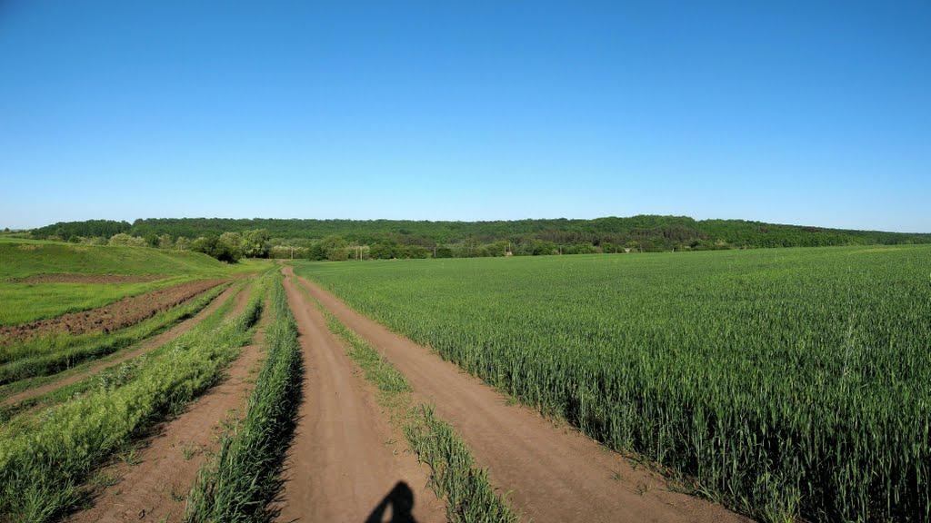 Кам'янка з panoramio.com - Каменка
