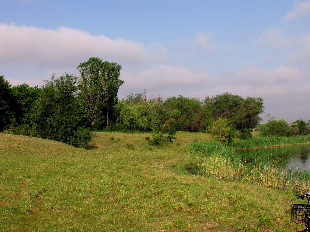 Кочубеївка з panoramio.com - Кочубеевка