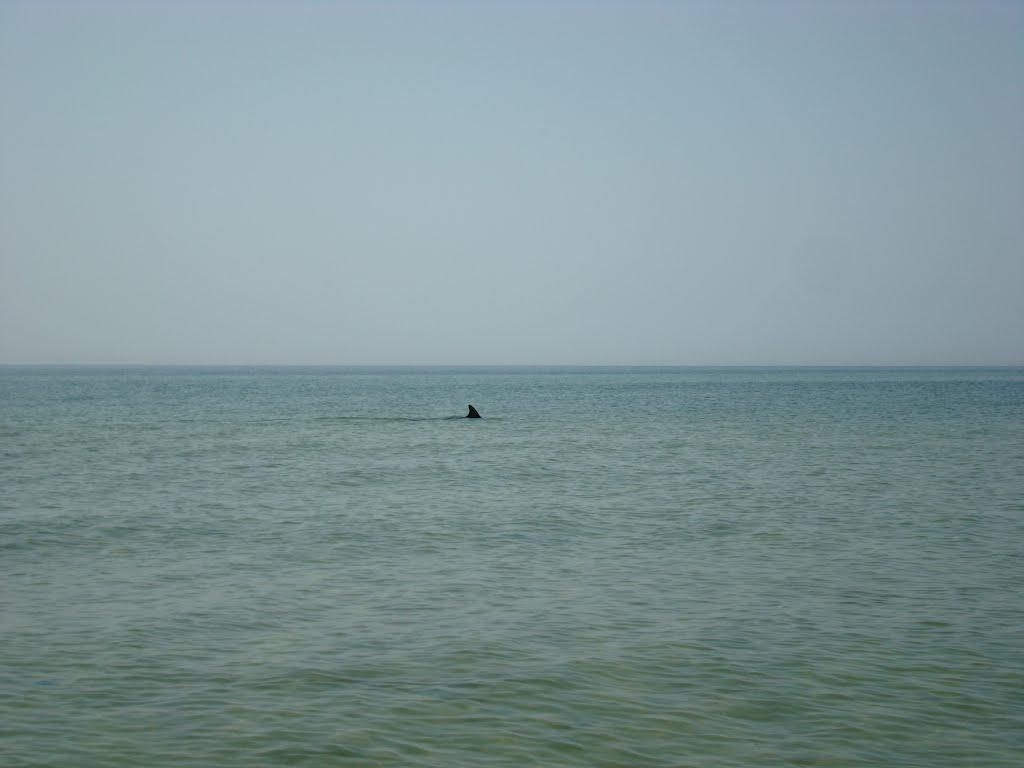 Лазурне з panoramio.com - Лазурное