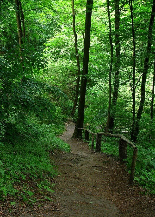 Козулька з panoramio.com - Козулька