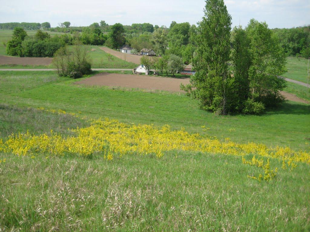 Срібне з panoramio.com - Сребное