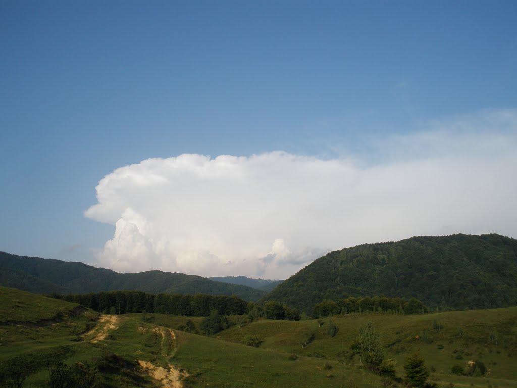 Довге з panoramio.com - Довге
