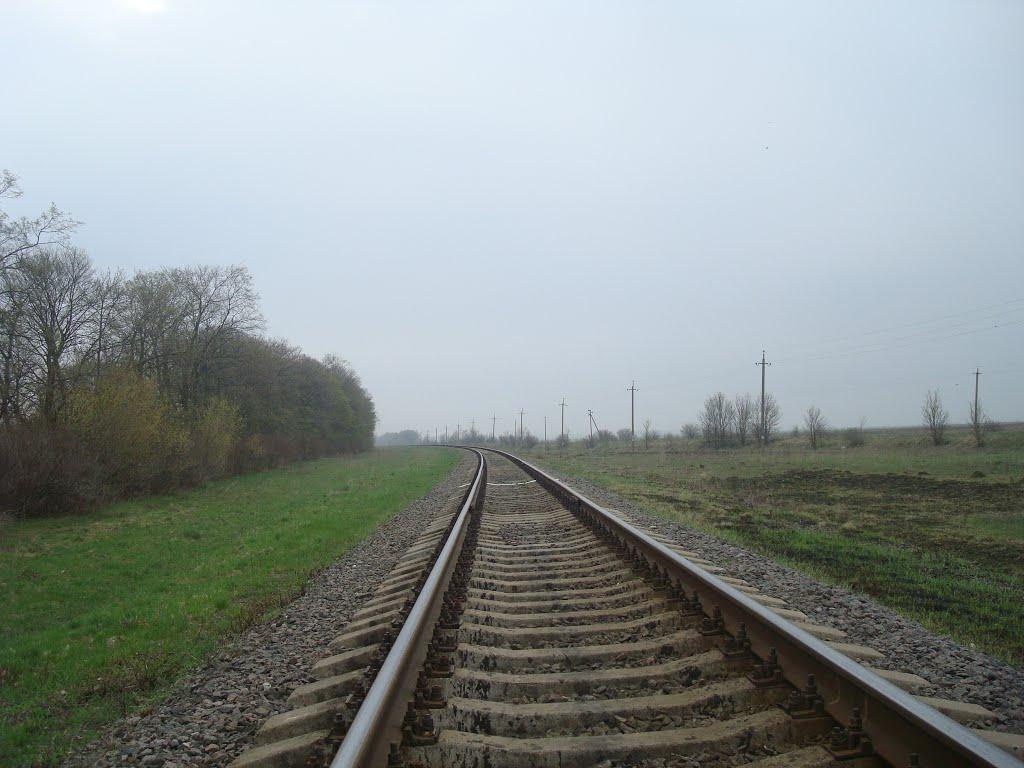 Грибенинка з panoramio.com - Грибенинка