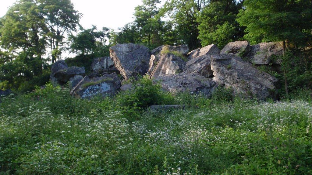 Циків з panoramio.com - Цыков