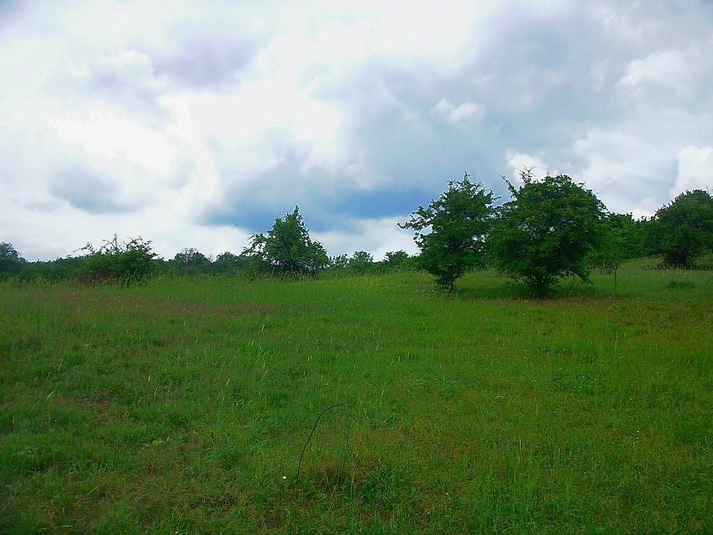 Щасливе з panoramio.com - Schaslyve