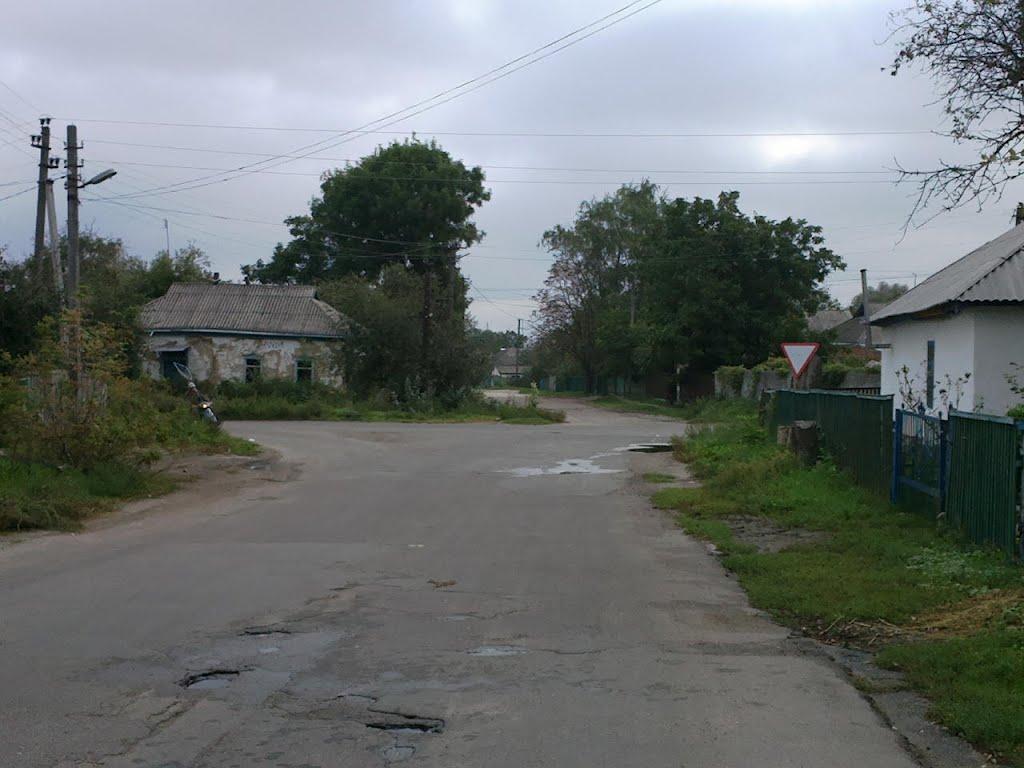 Засупоївка з panoramio.com